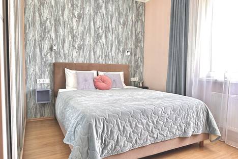 3-комнатная квартира в Санкт-Петербурге, пр-кт Космонавтов, 104к1