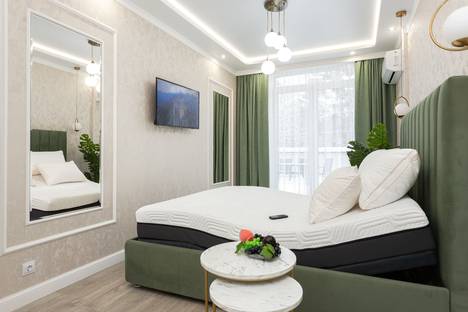 Однокомнатная квартира в аренду посуточно в Калининграде по адресу ул Каштановая ал. 97