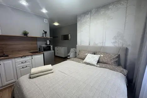 1-комнатная квартира в Москве, Дегунинская ул., 2к2, м. Селигерская