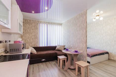 Однокомнатная квартира в аренду посуточно в Новосибирске по адресу ул. Немировича-Данченко, 150