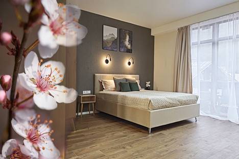 1-комнатная квартира в Красной Поляне, ул. Турчинского, 35