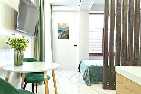 1-комнатная квартира в Красной Поляне, ул. Турчинского, 73