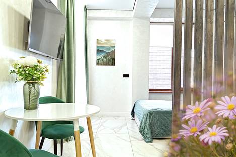 1-комнатная квартира в Красной Поляне, Красная Поляна, ул. Турчинского, 73