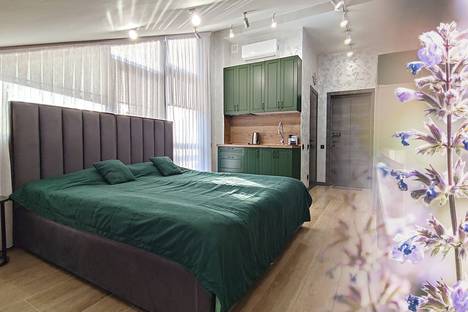 1-комнатная квартира в Красной Поляне, Красная Поляна, ул. Защитников Кавказа, 114