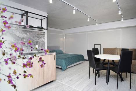 Однокомнатная квартира в аренду посуточно в Красной Поляне по адресу ул. Защитников Кавказа, 114