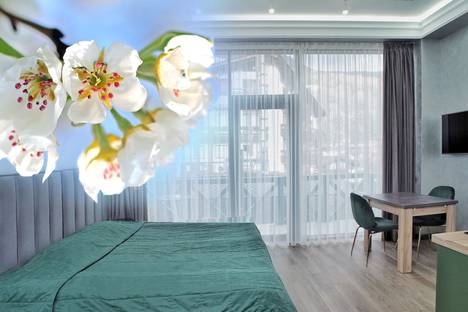 1-комнатная квартира в Красной Поляне, Красная Поляна, ул. Защитников Кавказа, 114