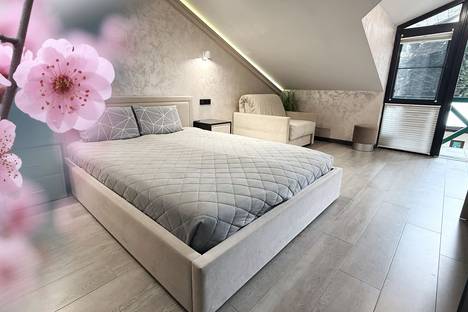 Однокомнатная квартира в аренду посуточно в Красной Поляне по адресу ул. Защитников Кавказа, 114