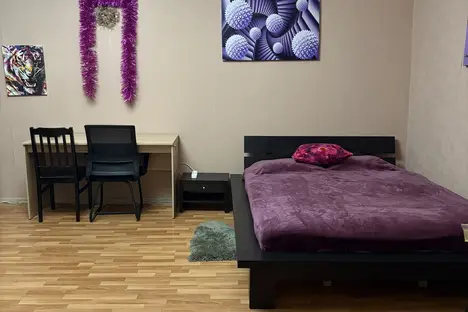 1-комнатная квартира в Санкт-Петербурге, Прачечный пер., 3Б