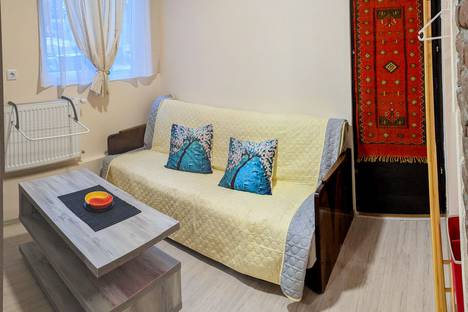 1-комнатная квартира в Тбилиси, Тбилиси, ул. Амаглеба, 20, м. Площадь Свободы