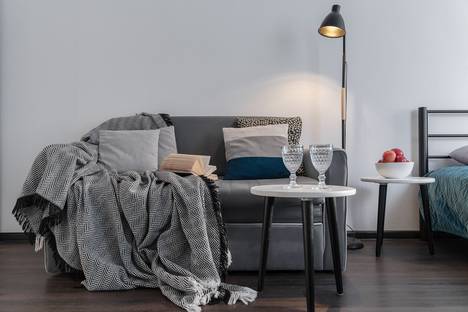 Однокомнатная квартира в аренду посуточно в Санкт-Петербурге по адресу Тосина ул., 6