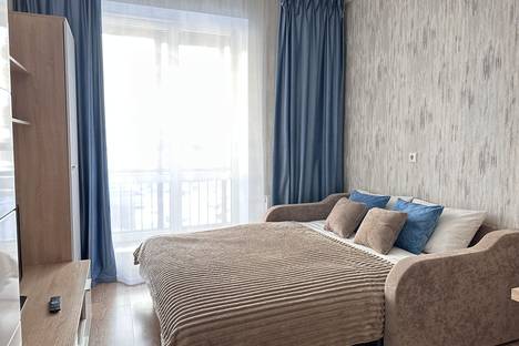 1-комнатная квартира в Санкт-Петербурге, Дизельный пр-д, 11к3