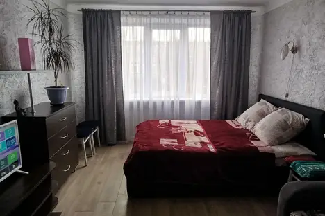 1-комнатная квартира в Минской области, Минская область, Минский р-н , д. Боровляны, ул. Берёзовая Роща