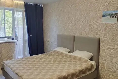 1-комнатная квартира в Озёрске, Озёрск, ул. Семёнова, 16