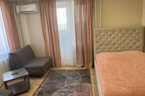 1-комнатная квартира в Самарской области, рп. Волжский, 45