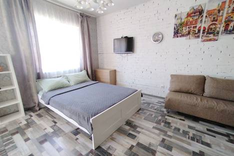 Однокомнатная квартира в аренду посуточно в Батайске по адресу Огородная ул., 89А