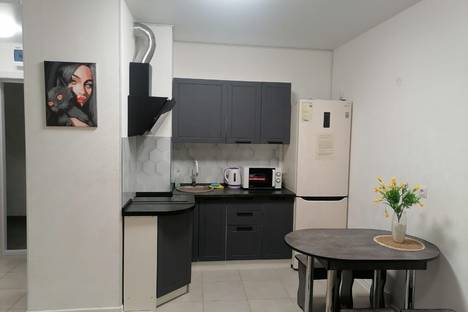 1-комнатная квартира в Тюмени, Тюмень, Полевая ул., 117к3