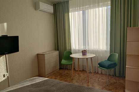 Однокомнатная квартира в аренду посуточно в Екатеринбурге по адресу ул. Павла Шаманова, 34