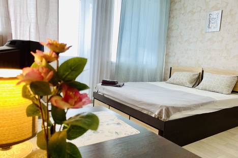 1-комнатная квартира в Новой Усмани, Полевая ул., 36А