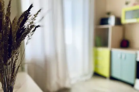 1-комнатная квартира в Новой Усмани, Раздольная ул., 1