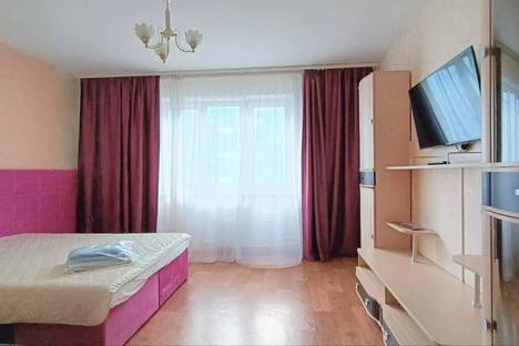 1-комнатная квартира в Красноярске, Красноярск, ул. Партизана Железняка, 61