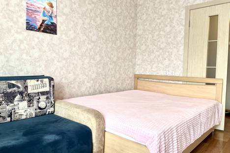 Однокомнатная квартира в аренду посуточно в Красноярске по адресу ул. Партизана Железняка, 61