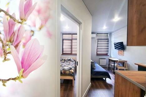 1-комнатная квартира в Эсто-Садке, Переселенческая ул., 12