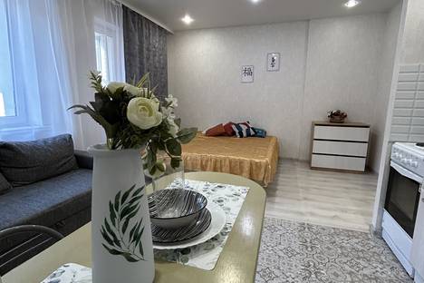Однокомнатная квартира в аренду посуточно в Казани по адресу ул. Рауиса Гареева, 103