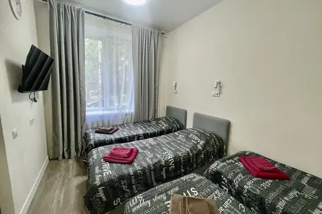 1-комнатная квартира в Воскресенске, Воскресенск, мкр. Лопатинский, Комсомольская ул., 19