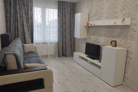 Однокомнатная квартира в аренду посуточно в Казани по адресу ул. Александра Курынова, 4к2