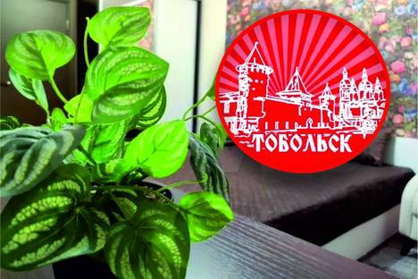 1-комнатная квартира в Тобольске, 15-й мкр., 22