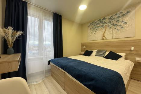 Однокомнатная квартира в аренду посуточно в Санкт-Петербурге по адресу ул. Матроса Железняка, 2, метро Черная речка