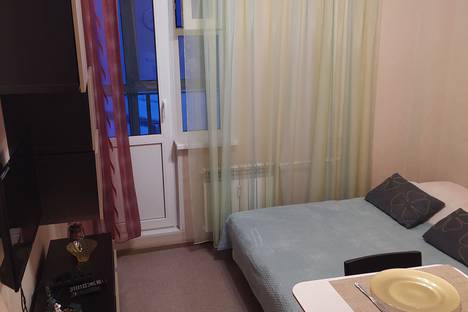 Однокомнатная квартира в аренду посуточно в Нижнем Новгороде по адресу Южный б-р, 15