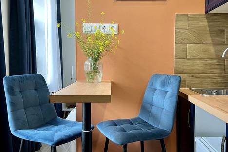 1-комнатная квартира в Санкт-Петербурге, Санкт-Петербург, Прилукская ул., 13, м. Обводный канал