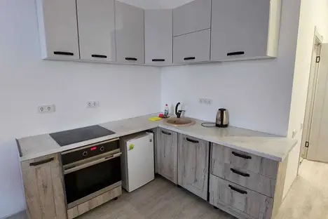 1-комнатная квартира в Новоивановском, Овражная ул., 47А
