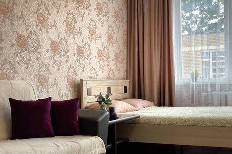 1-комнатная квартира в Брянске, Советская ул., 95к1