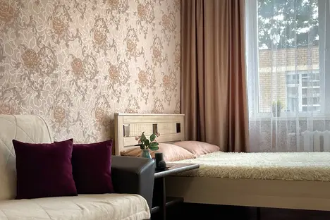 1-комнатная квартира в Брянске, Советская ул., 95к1