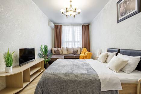 Однокомнатная квартира в аренду посуточно в Краснодаре по адресу Красная ул., 176
