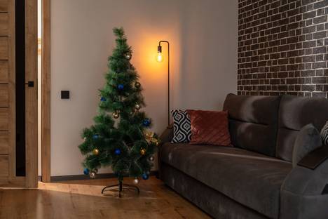 Однокомнатная квартира в аренду посуточно в Ростове-на-Дону по адресу Берберовская ул., 22с1