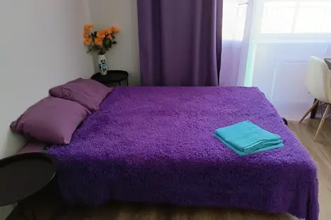 1-комнатная квартира в Казани, 2-я Юго-Западная ул., 39, м. Яшьлек