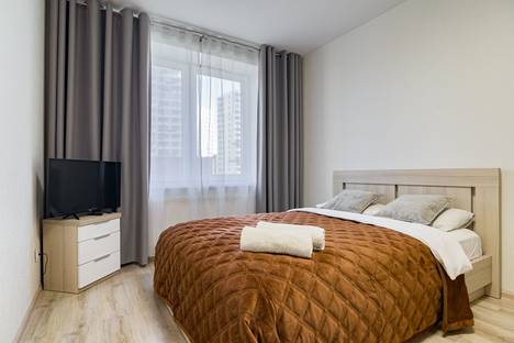 1-комнатная квартира в Санкт-Петербурге, Пискарёвский пр-кт, 25к2