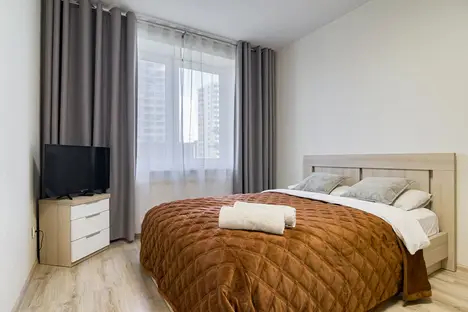 1-комнатная квартира в Санкт-Петербурге, Пискарёвский пр-кт, 25к2