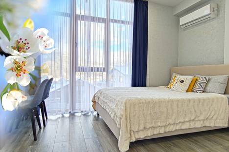 Однокомнатная квартира в аренду посуточно в Красной Поляне по адресу ул. Турчинского, 85