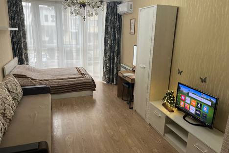 Однокомнатная квартира в аренду посуточно в Пятигорске по адресу Оранжерейная ул., 21к4