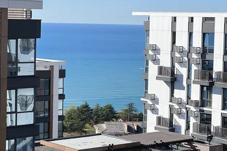 1-комнатная квартира в Сочи, Курортный пр-кт, 96Г