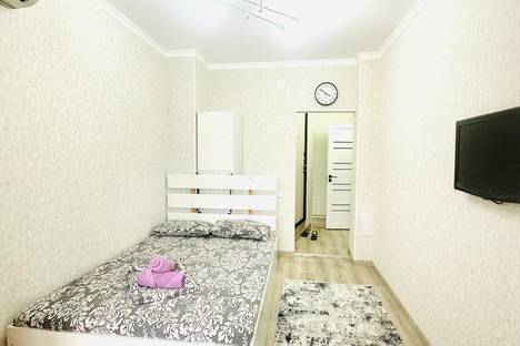 1-комнатная квартира в Алматы, 66