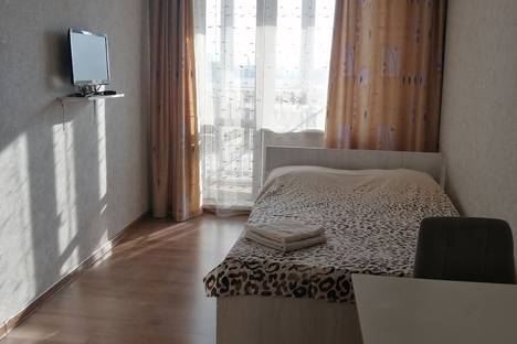 Однокомнатная квартира в аренду посуточно в Барнауле по адресу ул. Никитина, 107
