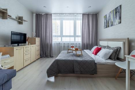 1-комнатная квартира в Нижнем Новгороде, пр-кт Гагарина, 101к2