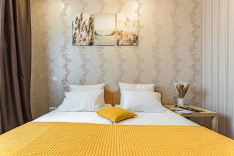 2-комнатная квартира в Нижнем Новгороде, пр-кт Гагарина, 101к3