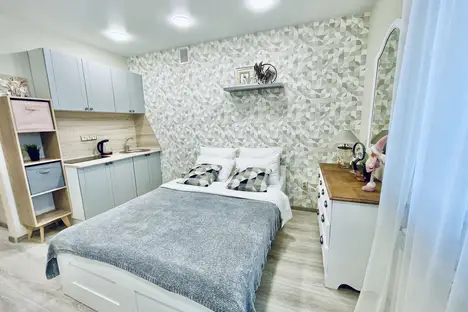 1-комнатная квартира в Нижнем Новгороде, Московское ш., 167к4