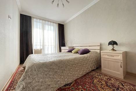 Однокомнатная квартира в аренду посуточно в Екатеринбурге по адресу ул. Блюхера, 95